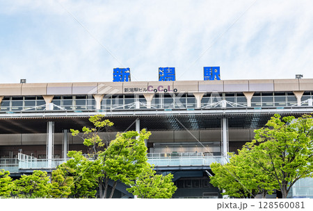 新潟県新潟市 青空のJR新潟駅南口 新潟県新潟市 青空のJR新潟駅南口 128560081
