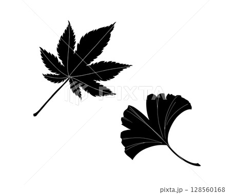 紅葉とイチョウの葉の白黒イラストセット（白フチあり） 128560168