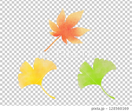 色彩繽紛的落葉(秋葉、銀杏)水彩插圖集 色彩繽紛的落葉(秋葉、銀杏)水彩插圖集 128560169