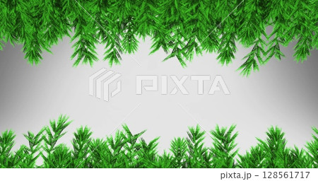 Image of fir trees branches over white background 128561717