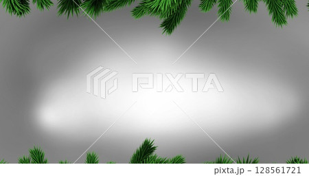 Image of fir trees branches over white background 128561721