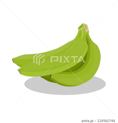 Vector illustration of bunches banana in cartoon flat style. Sweet yellow and green fresh banana fruit bright healthy food for diet or vegetarian isolated on white background. 128562748