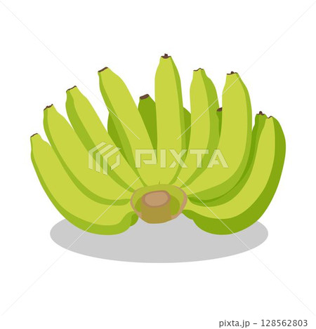 Vector illustration of bunches banana in cartoon flat style. Sweet yellow and green fresh banana fruit bright healthy food for diet or vegetarian isolated on white background. Vector illustration of bunches banana in cartoon flat style. Sweet yellow and green fresh banana fruit bright healthy food for diet or vegetarian isolated on white background. 128562803