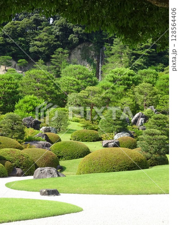 庭園のある庭 128564406