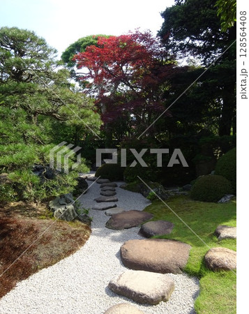 庭園 庭園 128564408