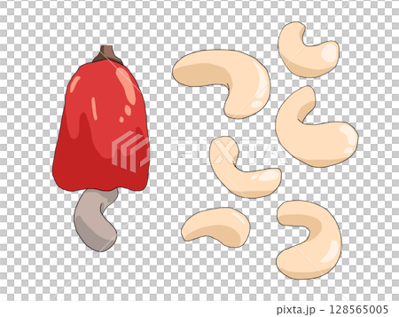 腰果的插圖 128565005