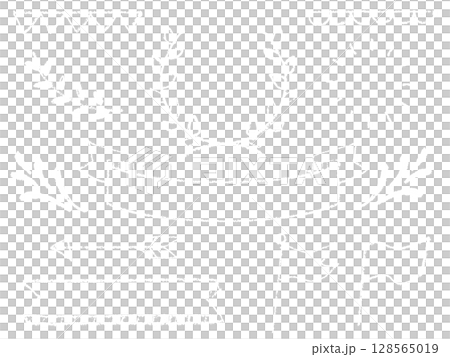 黒板にチョークで描かれた月桂樹とタイトルリボンのイラスト　手描き風でシンプルなおしゃれな飾り素材 128565019