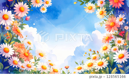 空に向かって咲くカモミールの花のフレーム素材 128565166
