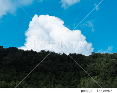 入道雲が浮かぶ夏の青空 128566071