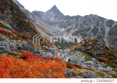 Mt. Yari / 氷河公園 天狗池の紅葉越しに眺める槍沢カールと槍ヶ岳 東鎌尾根の登山ルート 128566927