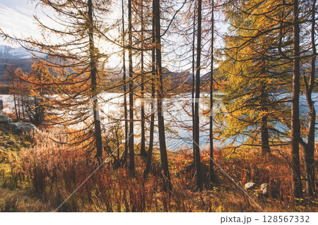 Autumn landscape near mountain lake Autumn landscape near mountain lake 128567332
