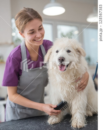 Veterinary Assistant Gently Brushes Dogs Coat in Bright Clinic Setting During Routine Checkup Veterinary Assistant Gently Brushes Dogs Coat in Bright Clinic Setting During Routine Checkup 128567383
