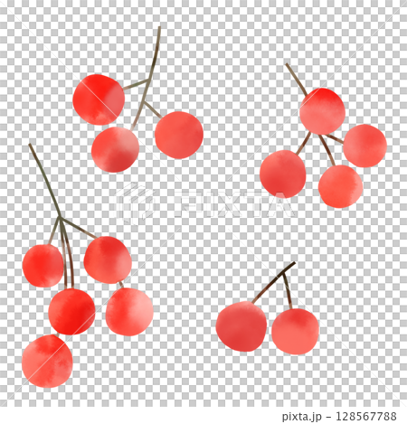 赤い秋の実の水彩風イラスト 128567788