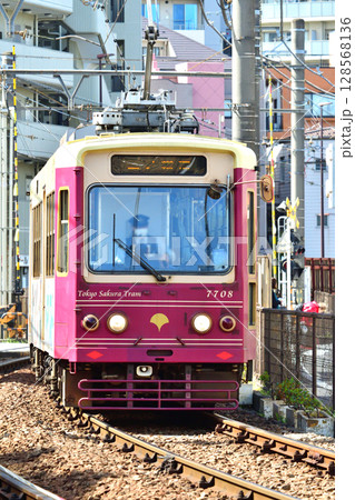 都電荒川線 (東京さくらトラム) 7700形 (7708) 都電荒川線 (東京さくらトラム) 7700形 (7708) 128568136