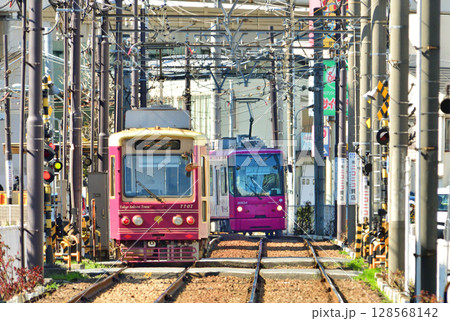 都電荒川線 (東京さくらトラム) 7700形(7707)・8800形(8804) 都電荒川線 (東京さくらトラム) 7700形(7707)・8800形(8804) 128568142