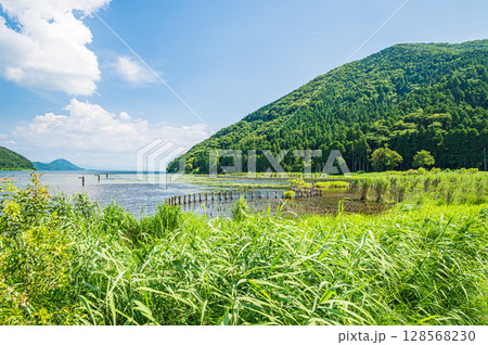 夏の奥琵琶湖 滋賀県長浜市 夏の奥琵琶湖 滋賀県長浜市 128568230