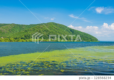 夏の奥琵琶湖 滋賀県長浜市 夏の奥琵琶湖 滋賀県長浜市 128568234