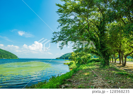 夏の奥琵琶湖 滋賀県長浜市 夏の奥琵琶湖 滋賀県長浜市 128568235