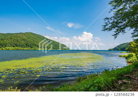 夏の奥琵琶湖　滋賀県長浜市 128568236