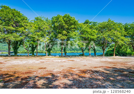 夏の奥琵琶湖 滋賀県長浜市 夏の奥琵琶湖 滋賀県長浜市 128568240