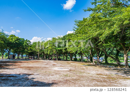 夏の奥琵琶湖　滋賀県長浜市 128568241