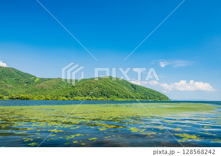 夏の奥琵琶湖 滋賀県長浜市 夏の奥琵琶湖 滋賀県長浜市 128568242