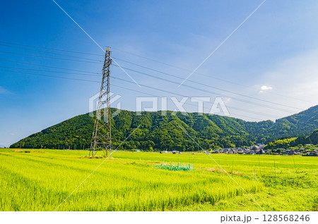 奥琵琶湖西浅井の田園風景 長浜市 奥琵琶湖西浅井の田園風景 長浜市 128568246