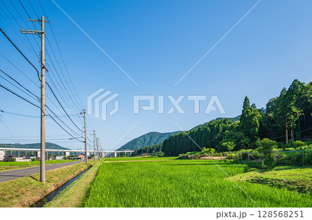奥琵琶湖西浅井の田園風景 長浜市 奥琵琶湖西浅井の田園風景 長浜市 128568251