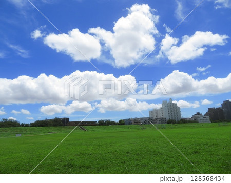 大田区多摩川の河川敷 大田区多摩川の河川敷 128568434