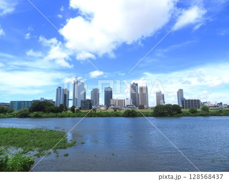 多摩川河川敷から見た武蔵小杉ビル群 多摩川河川敷から見た武蔵小杉ビル群 128568437