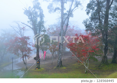 秋の曽木の滝公園 秋の曽木の滝公園 128568445
