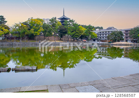 猿沢池 猿沢池 128568507