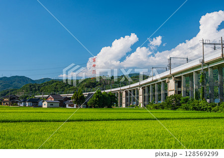 西浅井町の田園地帯を通る湖西線の高架橋　滋賀県長浜市 128569299