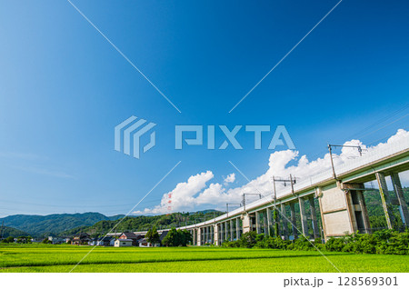 西浅井町の田園地帯を通る湖西線の高架橋　滋賀県長浜市 128569301