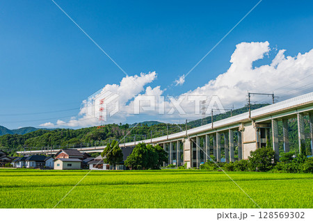 西浅井町の田園地帯を通る湖西線の高架橋　滋賀県長浜市 128569302