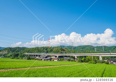 西浅井町の田園地帯を通る湖西線の高架橋　滋賀県長浜市 128569316