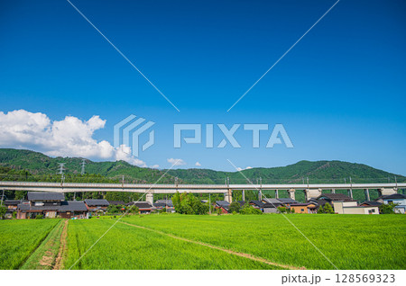西浅井町の田園地帯を通る湖西線の高架橋　滋賀県長浜市 128569323