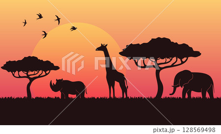 savanna sunset view 128569498