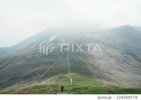 仙ノ倉山へと続く登山道 仙ノ倉山へと続く登山道 128569578