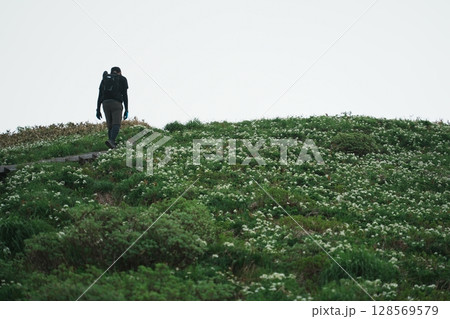 お花畑を歩く登山者 お花畑を歩く登山者 128569579