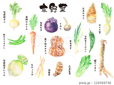 京野菜の水彩イラストセット – 日本の伝統野菜 128569736