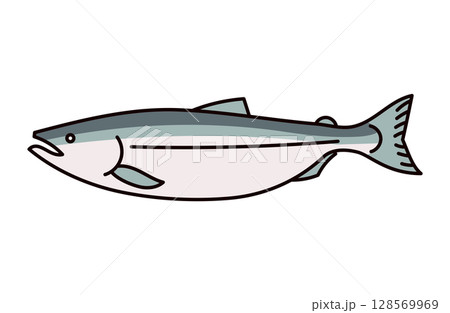 鮭のイラスト 128569969