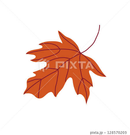 Orange maple leaf with vein pattern and stem in the wind. Hand drawn vector illustration for autumn designs. 128570203