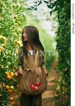 With bunch of tomatoes. Little girl is in the garden 128571412