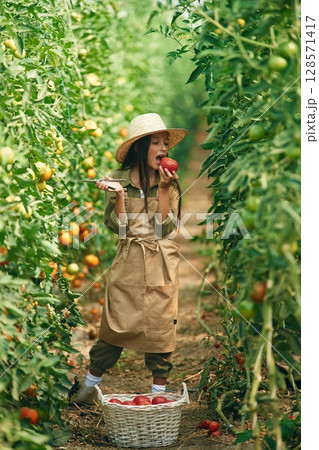 Tasting the tomato. Little girl is in the garden with Tasting the tomato. Little girl is in the garden with 128571417