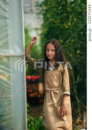 Standing, near greenhouse. Little girl is in the garden with tomatoes Standing, near greenhouse. Little girl is in the garden with tomatoes 128571444
