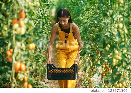 Young woman in yellow uniform is in garden with vegetables 128571505