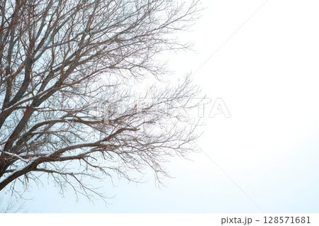 Tablet in soldiers hand controls drone, war zone background fades. Drone in flight creates a dynamic military shot. 128571681