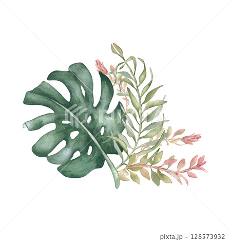 Monstera leaf with palm fronds watercolor drawing in muted sage greens isolated. Tropical foliage and pink branches hand painted. Botanical clipart for spa branding, organic product packaging. 128573932