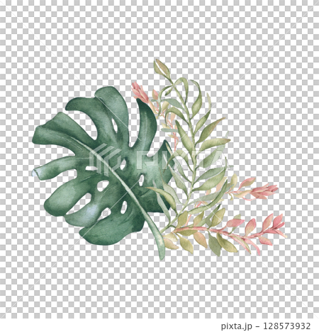 Monstera leaf with palm fronds watercolor drawing in muted sage greens isolated. Tropical foliage and pink branches hand painted. Botanical clipart for spa branding, organic product packaging. 128573932